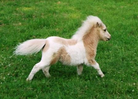 Bildname